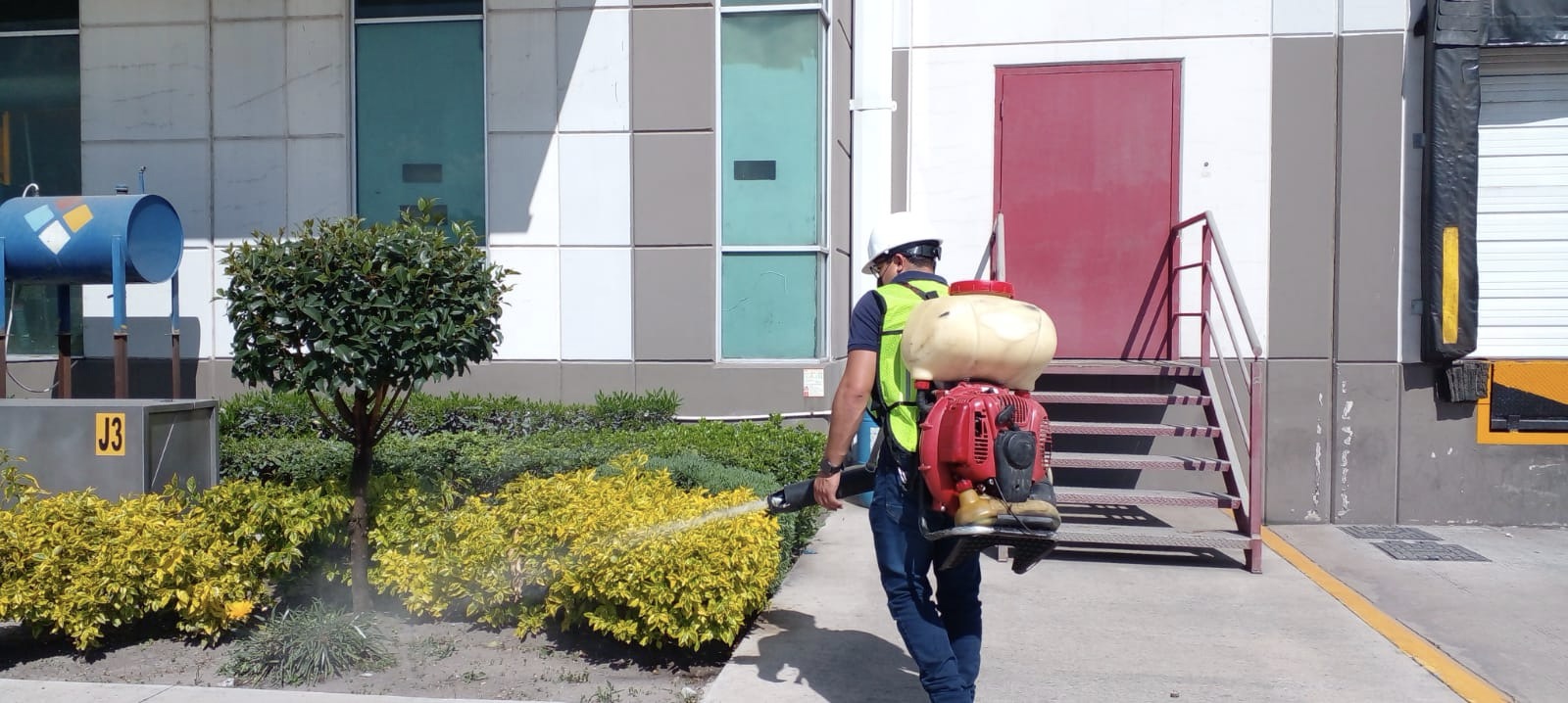 Técnico de Fumi-Cóndor fumigando con equipo profesional en CDMX